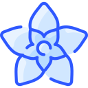 Hoya 