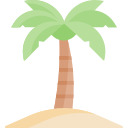 palmera 