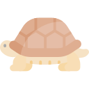 tortuga icon