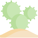 cactus icon