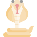 cobra icon