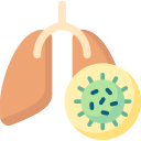 pulmonar