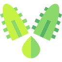 aloe vera icon