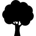 Tree silhouette 