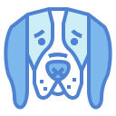 basset hound icon