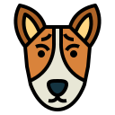 basenji