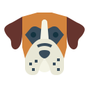 boxer icon