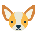 chihuahua icon