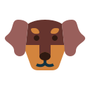 perro tejonero icon