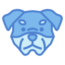 rottweiler icon