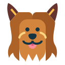 yorkshire terrier icon