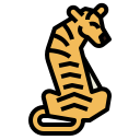 tigre icon