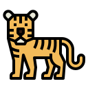 tigre icon