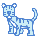 tigre icon