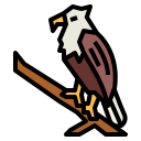 Águila icon