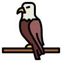 Águila icon