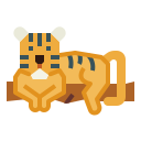 tigre