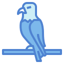 Águila icon