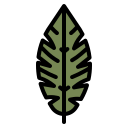 hoja icon