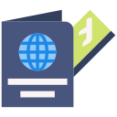 visa icon