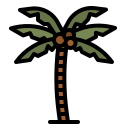 palmera icon