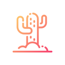 cactus icon