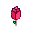 rosa icon