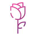 rosa icon