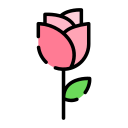 rosa icon