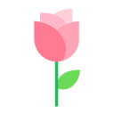 rosa icon