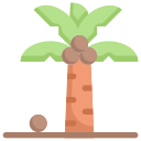 palmera icon