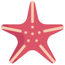 Étoile de mer 