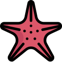 estrella de mar icon