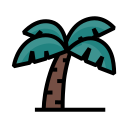 Árbol de coco icon