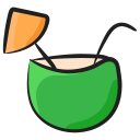 agua de coco icon