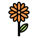 flores icon