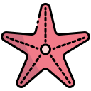 estrella de mar 