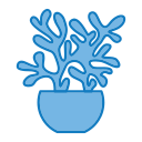 cactus icon