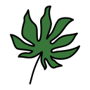 ginkgo biloba icon