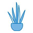 aloe vera icon