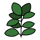 ficus icon