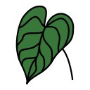 alocasia icon