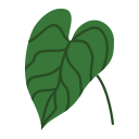 alocasia icon