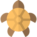 tortuga