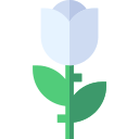 rosa icon