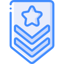 insignia icon