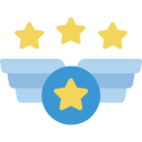 insignia icon