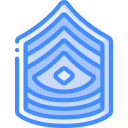 insignia icon