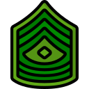 insignia icon