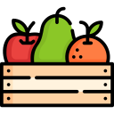 frutas icon